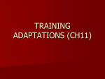 training adaptations (ch11)