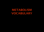 Metabolism - metabolismcook