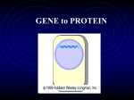 GENE to PROTEIN