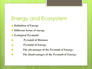 Energy and Ecosystem