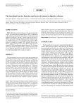 The intestinal barrier function and its involvement in digestive disease