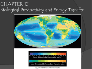 Chapter 13: Biological productivity and energy transfer
