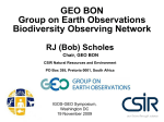 Scholes Chair, GEO BON CSIR Natural Resources and Environment