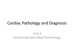 Cardiac Pathology and Diagnosis