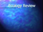 Ecology Jeopardy