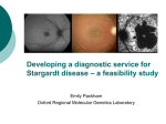 Developing a diagnostic service for Stargardt disease – a feasibility