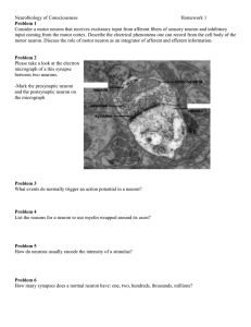 Neurobiology of Consciousness Homework 1 Problem 1 Consider a