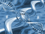 DNA - Miss Gleason`s Science