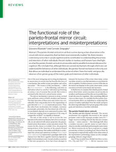 The functional role of the parieto-frontal mirror circuit