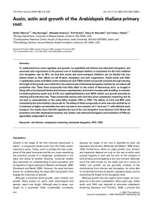 pdf: Rahman et al. 2007.