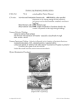 ICF codes d498 Mobility, other specified