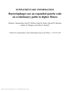 Bacteriophages use an expanded genetic code on