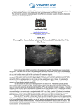 April 2011 Turning Dry-Form Feline Infectious Peritonitis (FIP) Inside