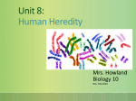 BIOLOGY CLASS NOTES UNIT 8 Human Heredity PART 2