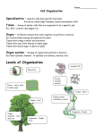 Cell Organization