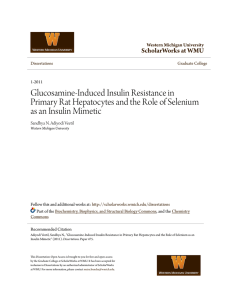 Glucosamine-Induced Insulin Resistance in Primary Rat