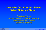 Understanding Drug Abuse and Addictions presentation