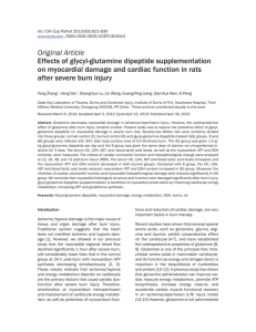 Effects of glycyl-glutamine dipeptide supplementation on myocardial