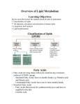 Overview of Lipid Metabolism