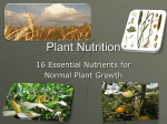 Plant Nutrition Plant nutrition