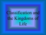 Classification and the Kingdoms of Life