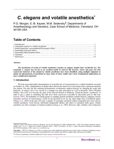C. elegans and volatile anesthetics
