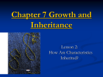Chapter 7 Growth and Inheritance