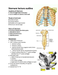 Sternum lecture outline