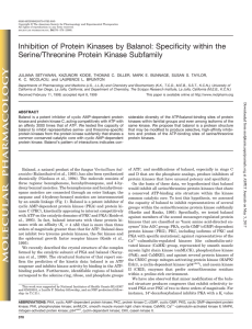 Inhibition of Protein Kinases by Balanol: Specificity within the Serine