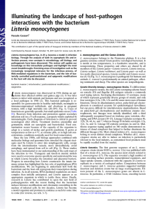 Listeria monocytogenes