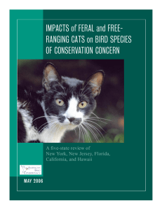 IMPACTS of FERAL and FREE- RANGING CATS on BIRD SPECIES