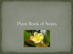 Plant Book of Notes