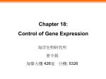 Chapter 18: Control of Gene Expression