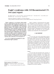 Eagle`s syndrome with 3-D Reconstructed CT: two cases report