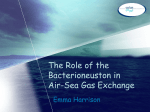 The Role of the Bacterioneuston in Air