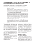 Transglutaminase Activity in the Eye: Cross-linking in