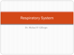 Physio08_Respiratory_System