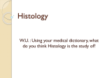 Histology - MsTrettensClasses