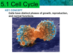 5.4 Asexual Reproduction