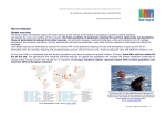 Marine Pollution Global overview