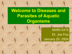Lecture 1: Introduction to Disease