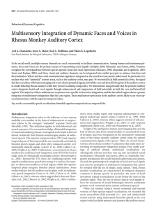 Multisensory Integration of Dynamic Faces and Voices