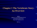 Chapter 1 The Vertebrate Story