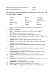NC HISTORY CH ONE STUDY GUIDE AND VOCABULARY