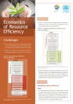 Economics of Resource Efficiency