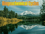 Biogeochemical -NutrientCycle Color