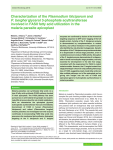 Characterization of the Plasmodium falciparum and P. berghei