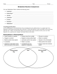 Metabolism Reaction Comparisons