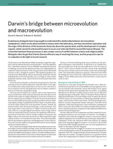 Darwin`s bridge between microevolution and