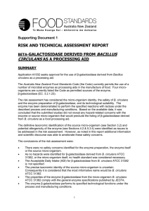 risk and technical assessment report